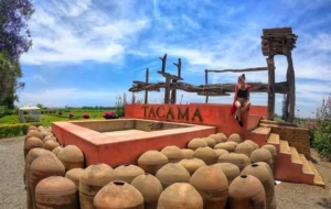 Pisco adrenalina