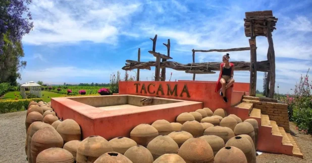 Pisco adrenalina